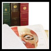 medicalcodinganatomybook