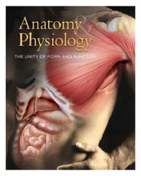 human anatomy and physiology